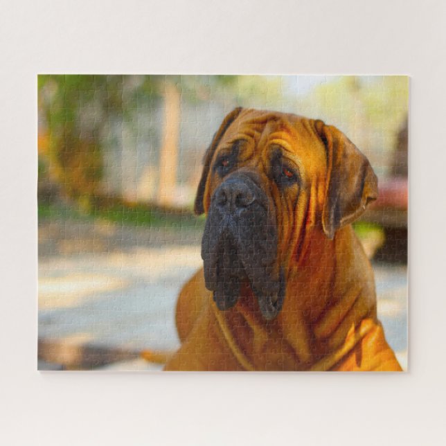 Puzzle Chien Mastiff. (Horizontal)