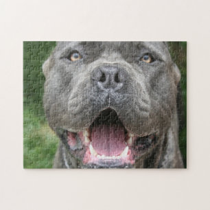 Puzzle Chien mastiff de Canso Corso