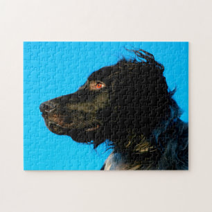Puzzle Chien Munsterlander.