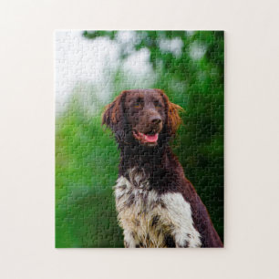 Puzzle Chien Munsterlander.
