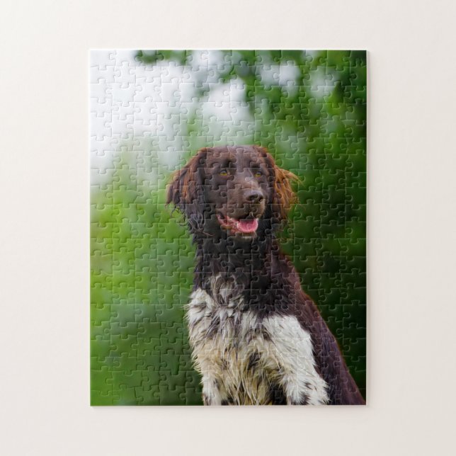 Puzzle Chien Munsterlander. (Vertical)