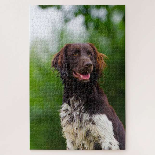 Puzzle Chien Munsterlander. (Vertical)
