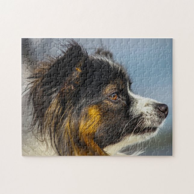 Puzzle Chien papillon (Horizontal)