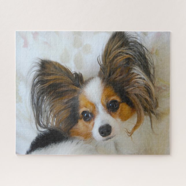 Puzzle Chien Papillon. (Horizontal)