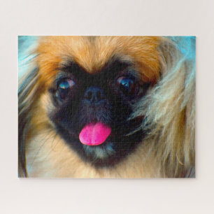 Puzzle Chien Pékinois.