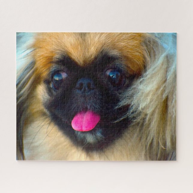 Puzzle Chien Pékinois. (Horizontal)