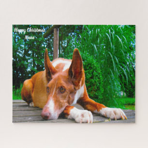 Puzzle Chien Pharaon.