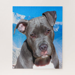 Puzzle Chien Pitbull.