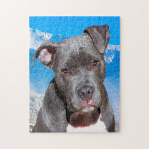 Puzzle Chien Pitbull.