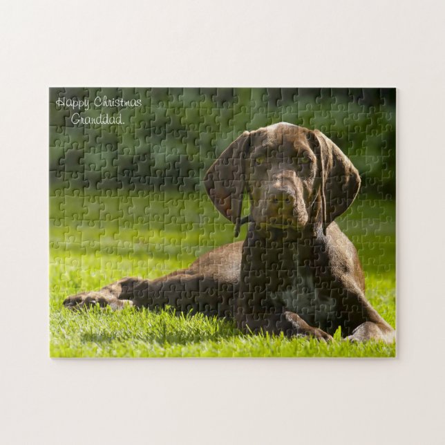 Puzzle Chien Pointer Allemand. (Horizontal)