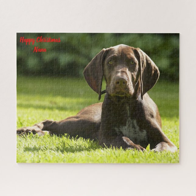 Puzzle Chien Pointeur Allemand. (Horizontal)