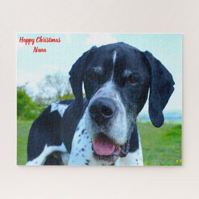 Puzzle Chien Pointeur Anglais. (Horizontal)