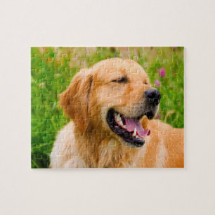 Puzzle Chien Retriever doré.