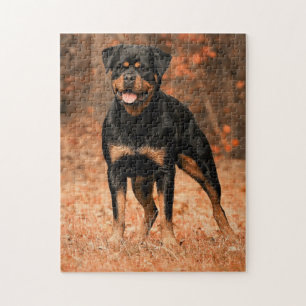 Puzzle Chien Rottweiler