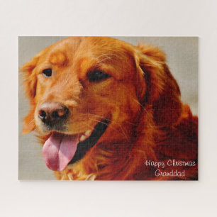 Puzzle Chien Setter Irlandais.