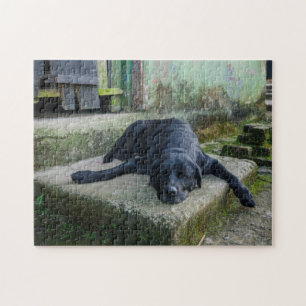 Puzzle Chien somnolent