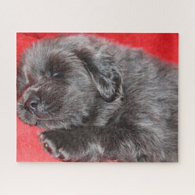 Puzzle Chien Tibétain Mastiff Jigsaws. (Horizontal)