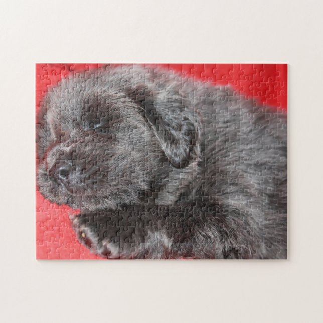 Puzzle Chien Tibétain Mastiff Jigsaws. (Horizontal)