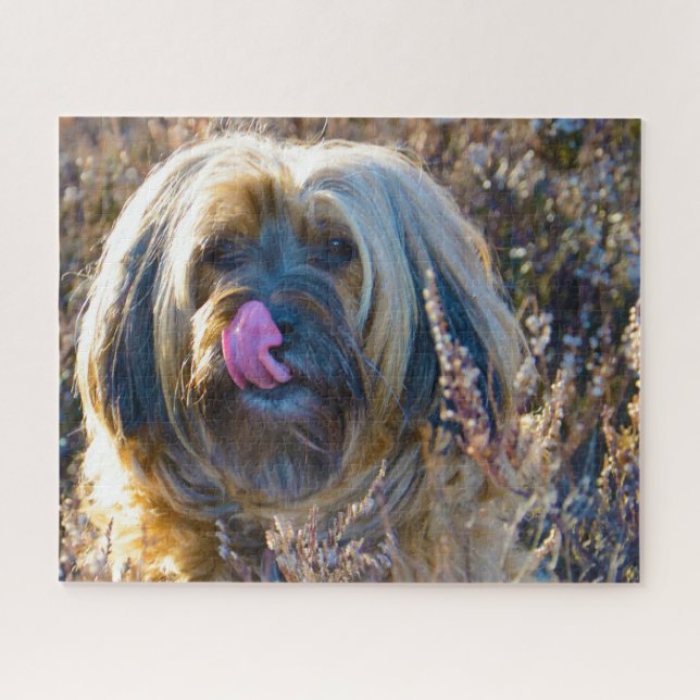 Puzzle Chien Tibétain Terrier Jigsaws. (Horizontal)