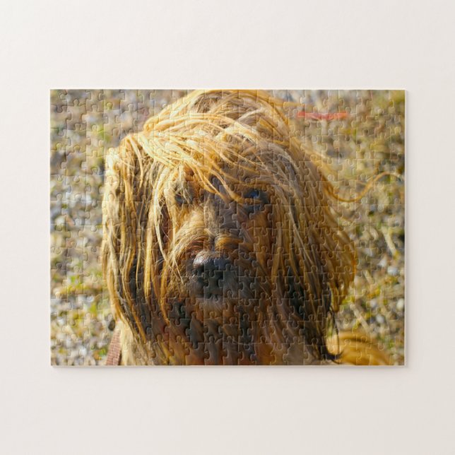 Puzzle Chien Tibétain Terrier Jigsaws. (Horizontal)
