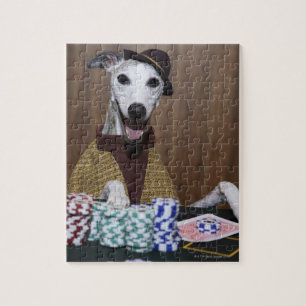 Puzzle Chien Whippet habillé à la table de jeu
