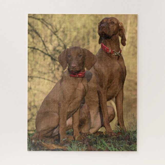 Puzzle Chiens à dos de Vizsla (Vertical)