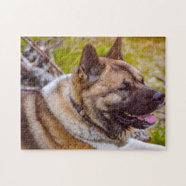 Puzzle Chiens Akita. (Horizontal)