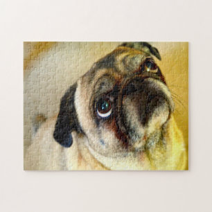 Puzzle Chiens Carlin.
