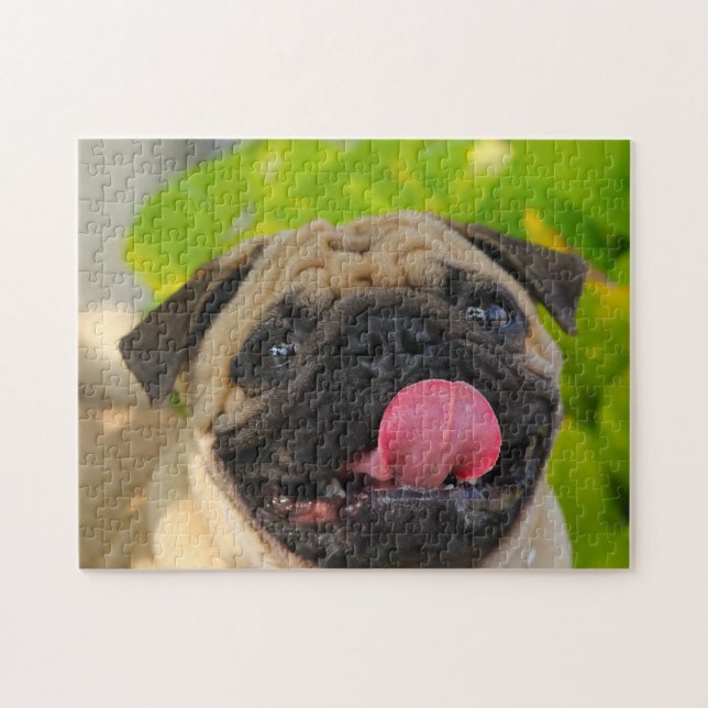 Puzzle Chiens Carlin. (Horizontal)