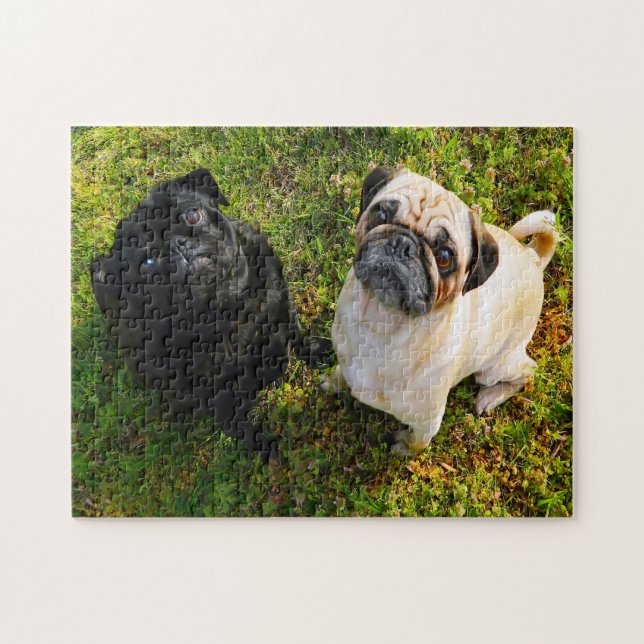 Puzzle Chiens Carlin. (Horizontal)