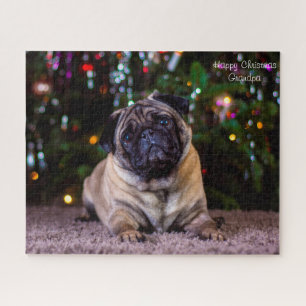 Puzzle Chiens Carlin.