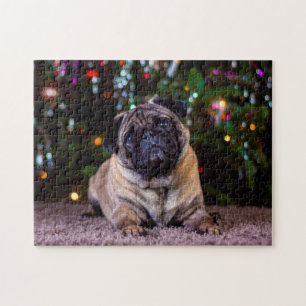 Puzzle Chiens Carlin.