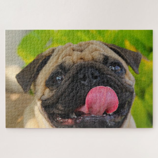 Puzzle Chiens carlins. (Horizontal)