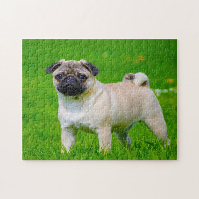 Puzzle Chiens carlins. (Horizontal)