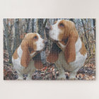 Chiens de basset de région boisée