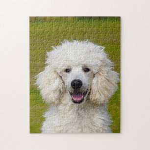 Puzzle Chiens de caniche.