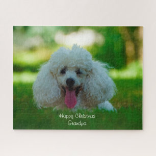 Puzzle Chiens de caniche.