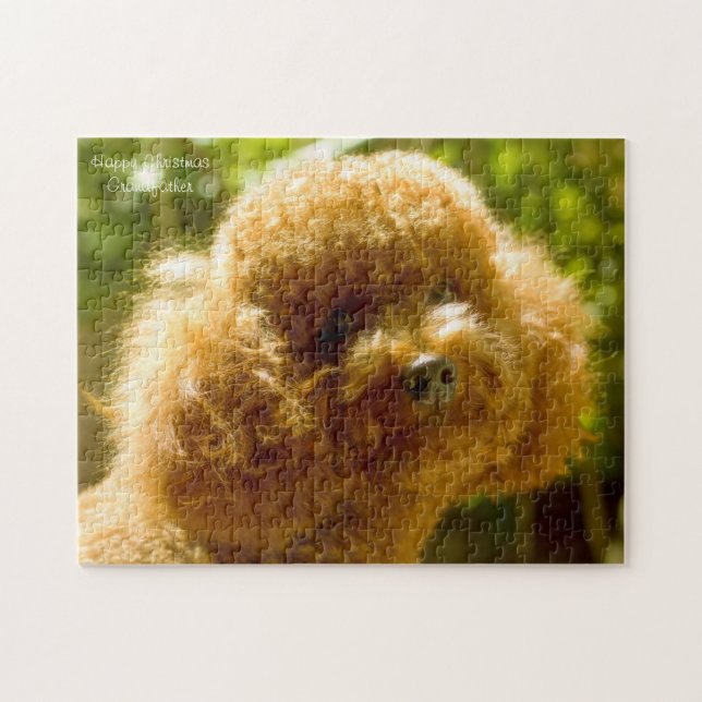 Puzzle Chiens de caniche. (Horizontal)
