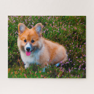 Puzzle Chiens de Corgi gallois Jigsaws.