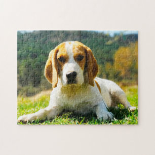 Puzzle Chiens de race Beagle.