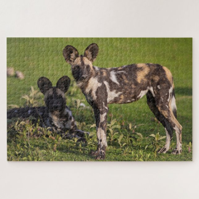 Puzzle Chiens sauvages africains en Tanzanie (Horizontal)