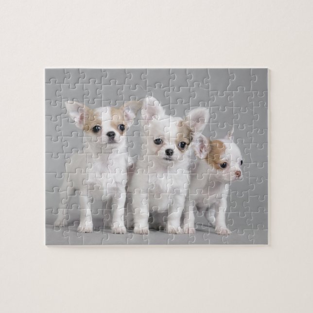 Puzzle Chihuahua (Horizontal)