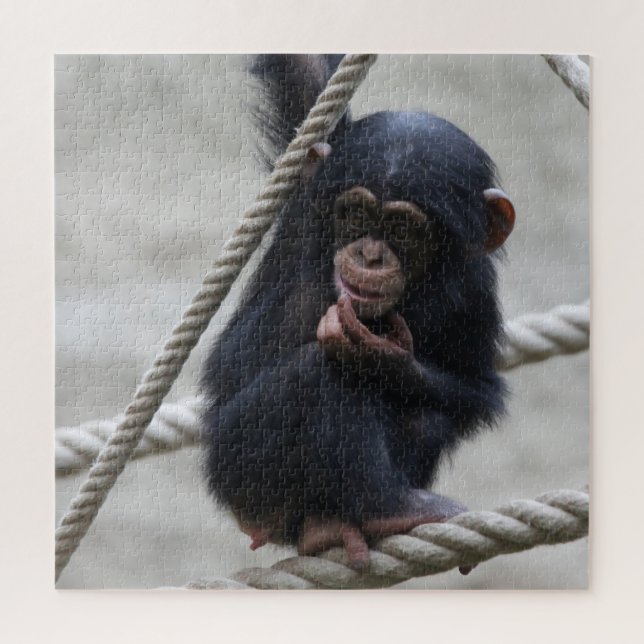 Puzzle Chimpanzé 030 (Vertical)