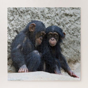 Puzzle Chimpanzé 2020-03-01