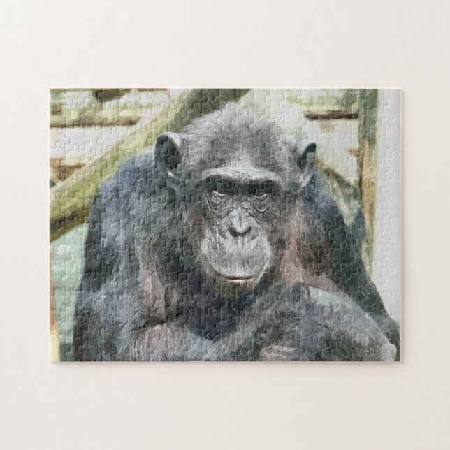 PUZZLE CHIMPANZÉS (Horizontal)