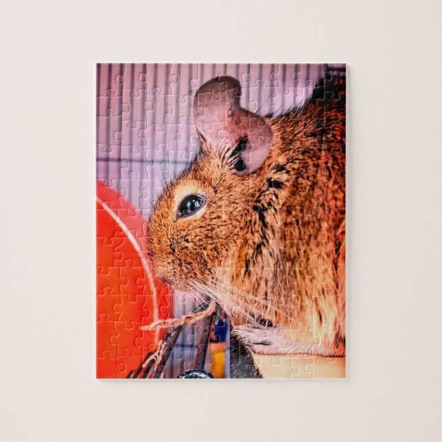 Puzzle Chinchilla (Vertical)