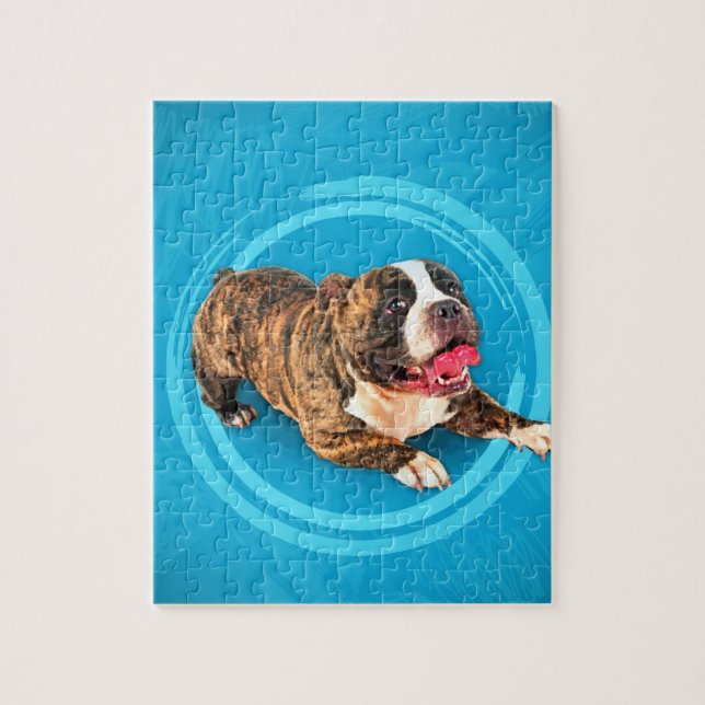 Puzzle Chiot américain de despote (Vertical)