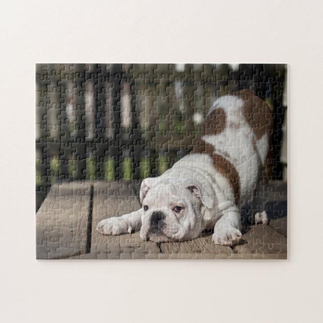 Puzzle Chiot anglais de bouledogue (Horizontal)