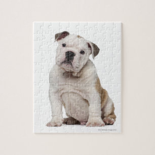 Puzzle Chiot anglais de bouledogue (2 mois)