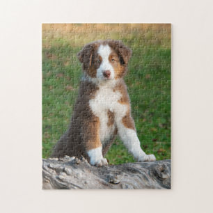 Puzzle Chiot australien mignon de berger